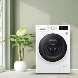 lg9公斤 dd直驱变频 洗烘一体 滚筒洗衣机 除菌 节能 静音 洁桶洗 快洗 led触摸屏wd c51bnf40 奢华白 洗衣机产品图片3